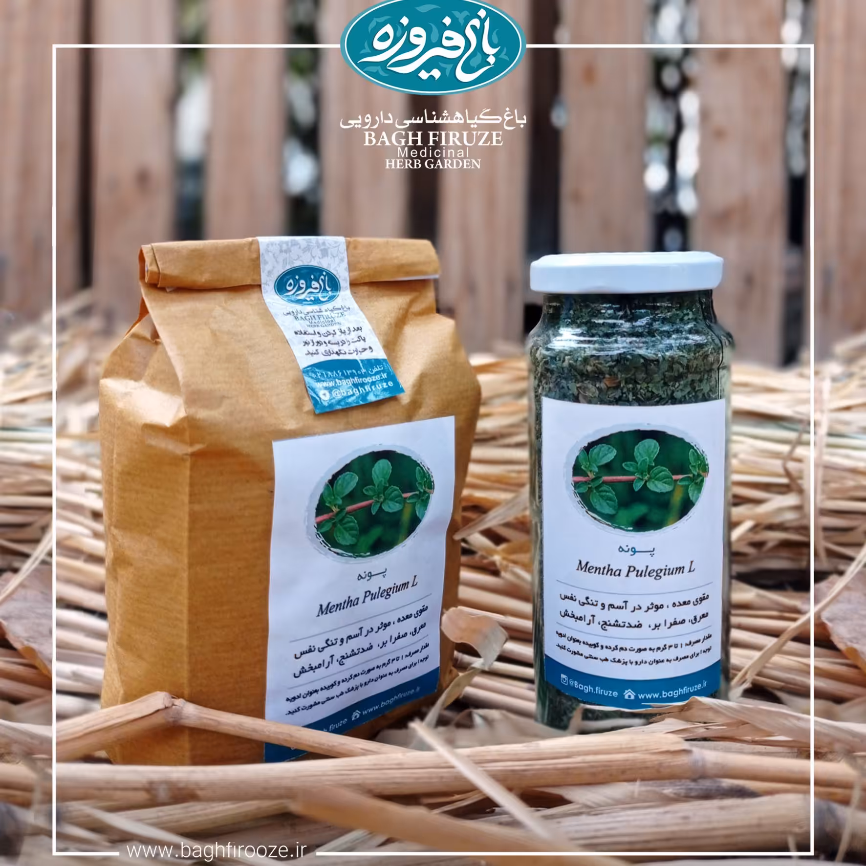 پونه باغی طبیعی در بسته محیط زیستی 75گرمی