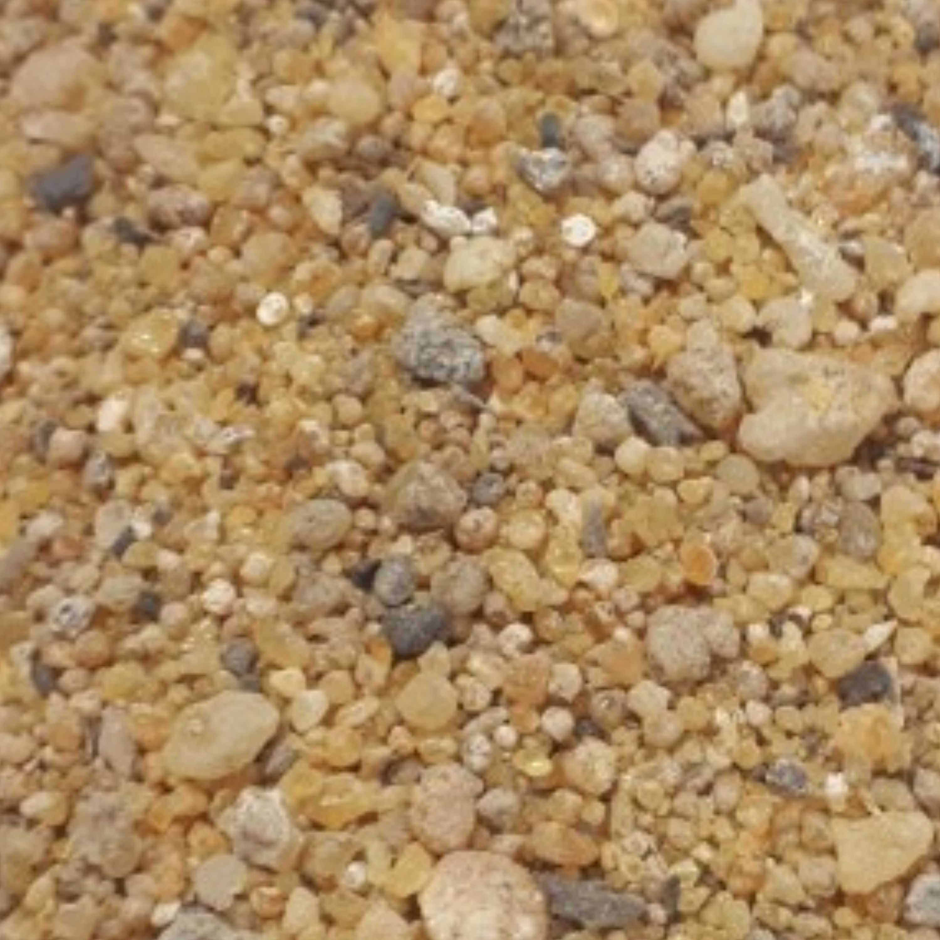مصطکی طبیعی 1کیلویی