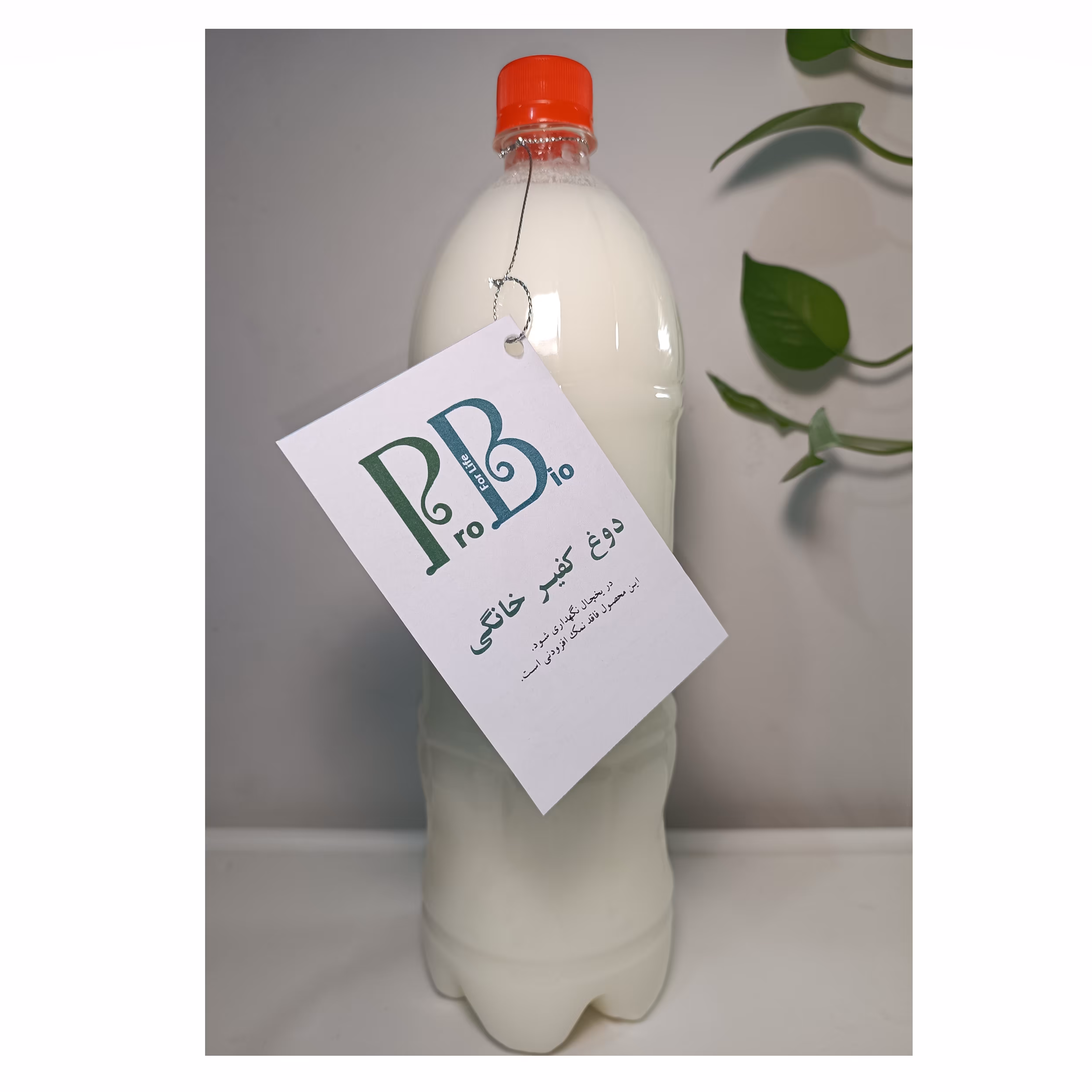  دوغ کفیر خانگی (1.2 لیتری)