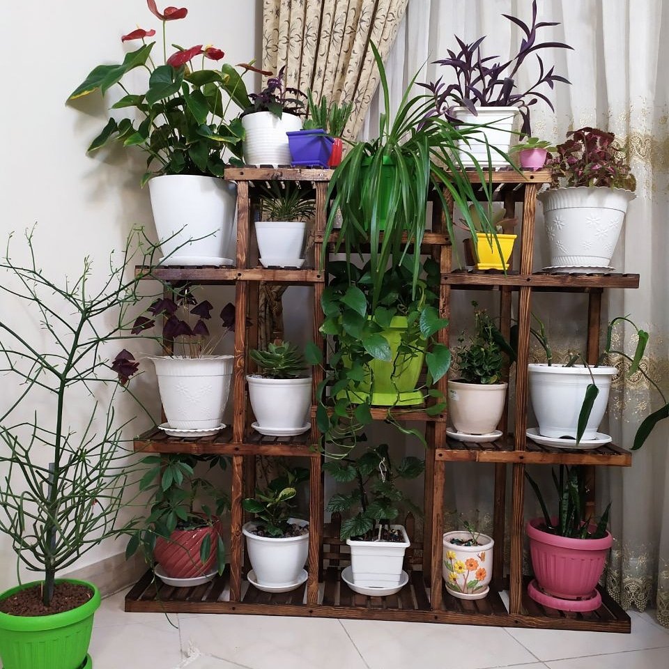 استندگل چوبی 