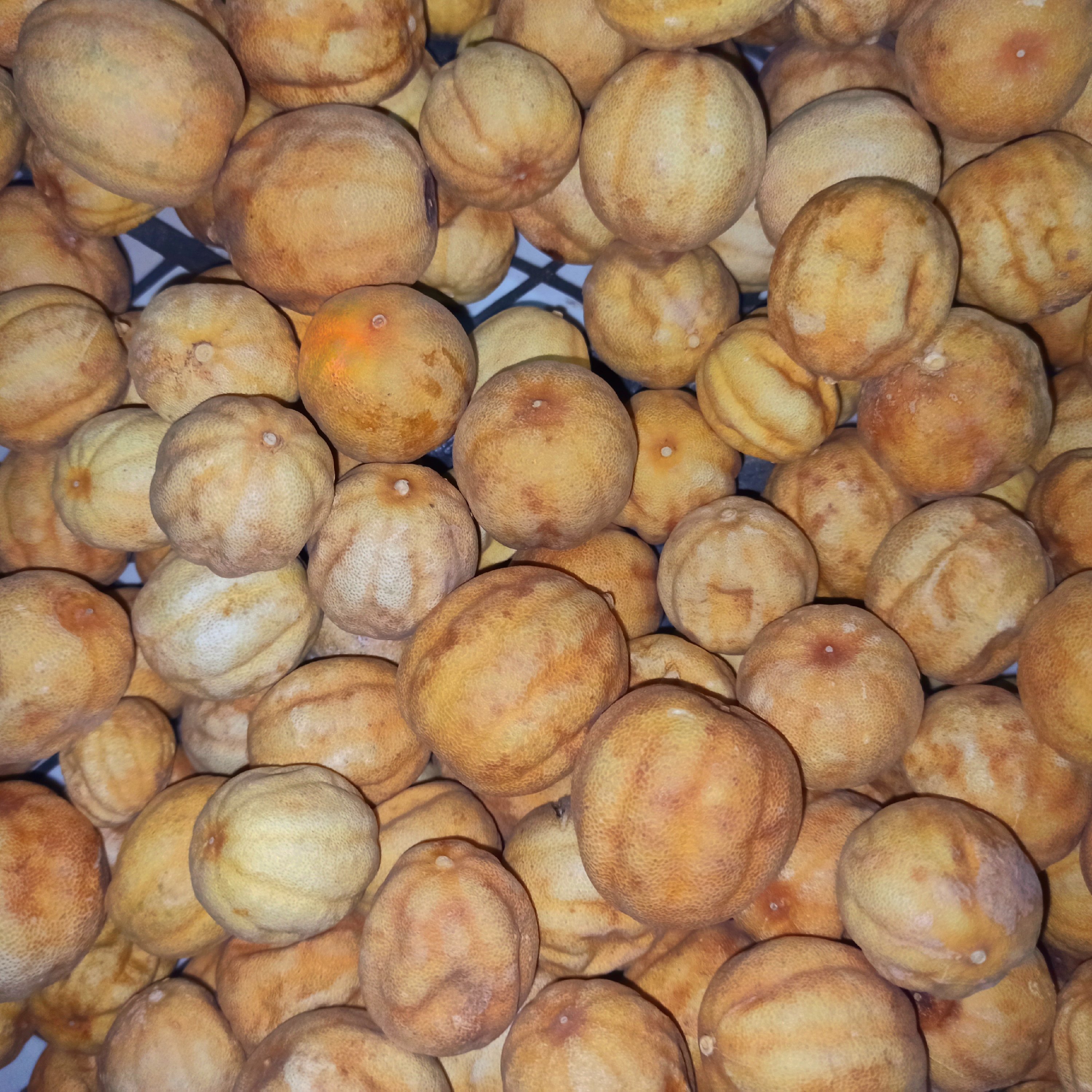 لیمو خشک (امانی) (عمانی) روشن ، تازه و  درجه یک ، 400 گرمی 