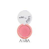 قیمت و خرید رژگونه ایزابل دپونت شماره 10 | بهترین قیمت