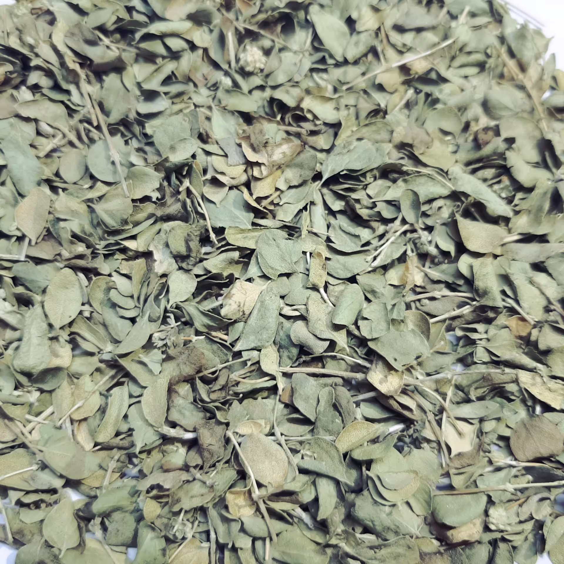 آویشن برگ شیرازی 250 گرمی گیاهینو - اویشن