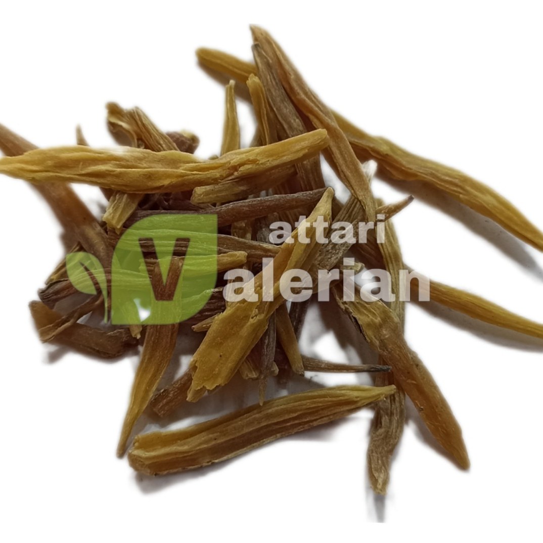 ستاور-مقوی جسم