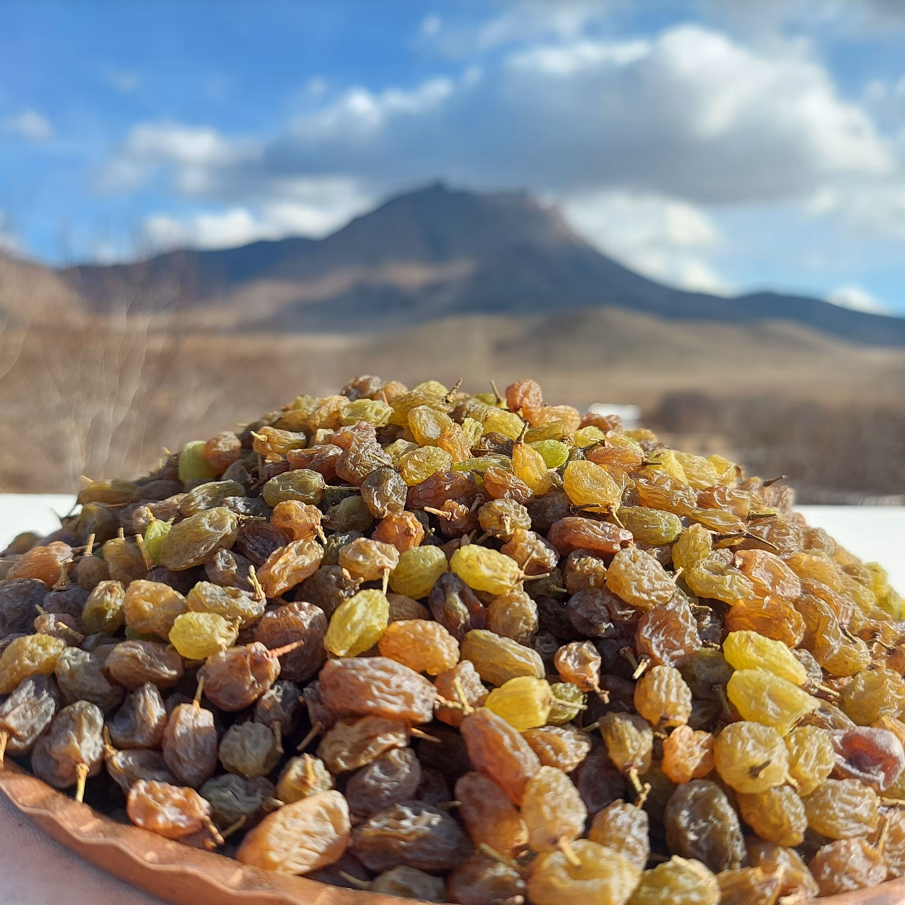 کشمش سایه خشک ملایر  محصول 1403(بادم)