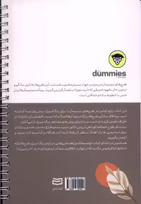 کتاب رنگ آمیزی مینیمال دامیز آونددانش