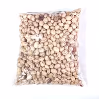 لوبیا چیتی 500 گرمی