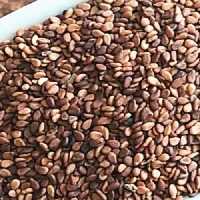 کنجد قهوه ای اعلاء 100 گرمی