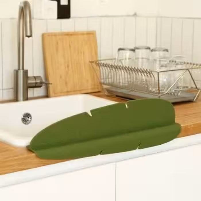 آبگیر طرح برگ