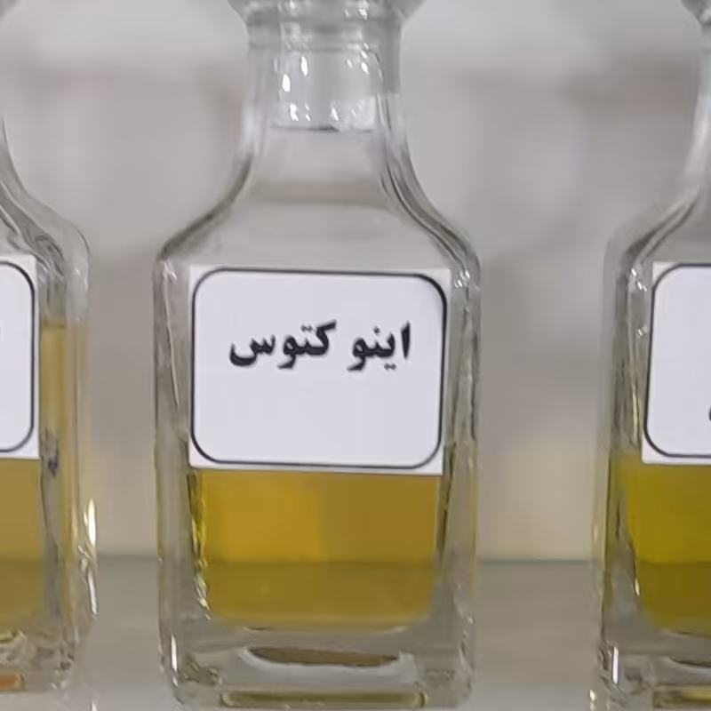 عطر اینوکتوس 10گرمی 