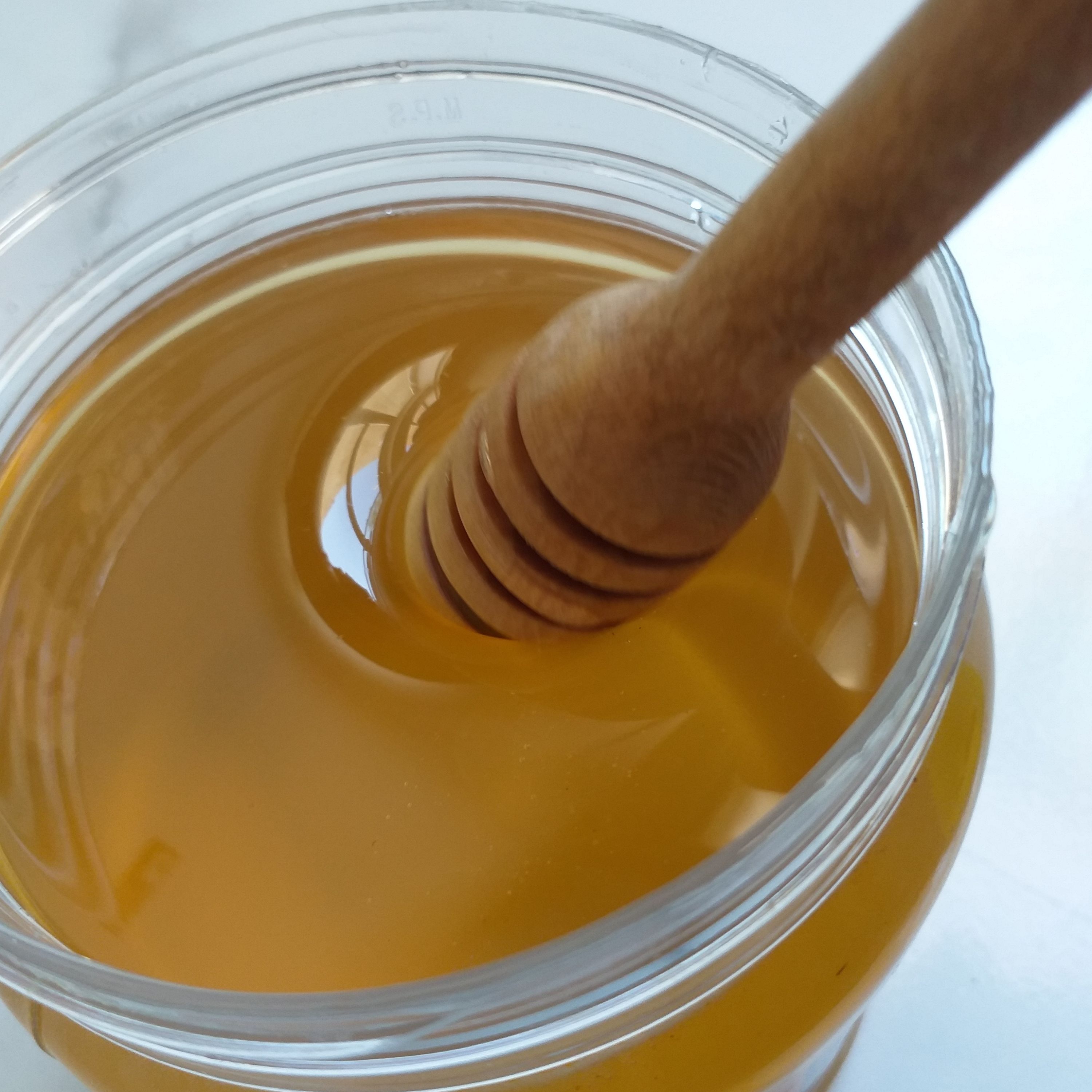 عسل مرکبات شمال(بهارنارنج)