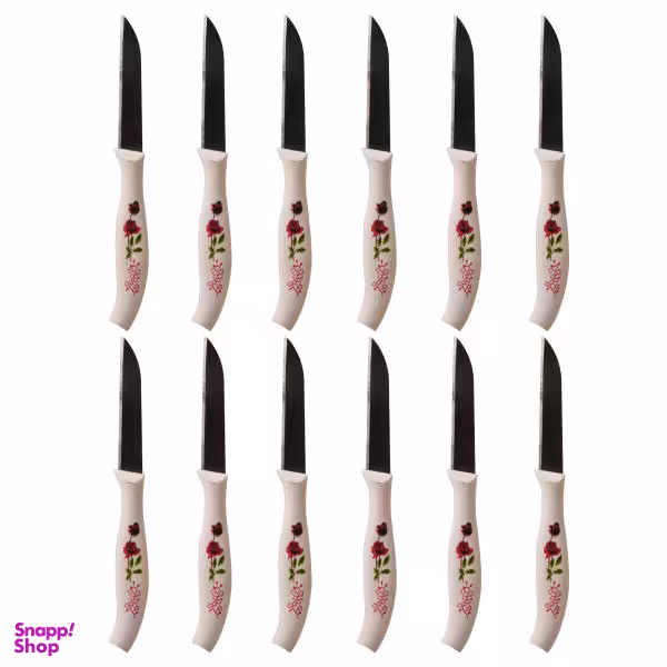 کارد میوه خوری مدل Joint-ch-07 بسته 12 عددی