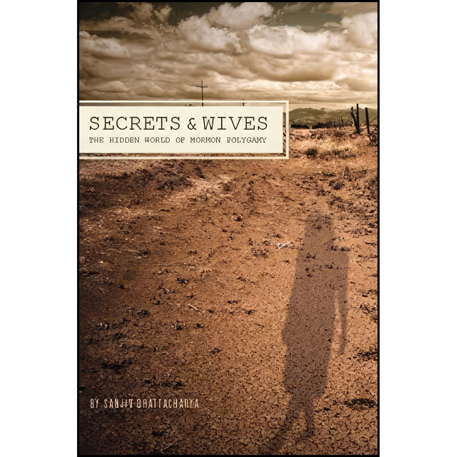 کتاب زبان اصلی Secrets and Wives اثر Sanjiv Bhattacharya