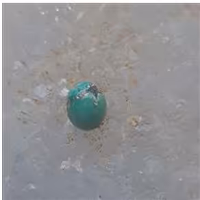 نگین فیروزه نیشابور کد 460