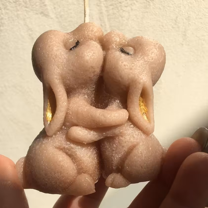 شمع خرگوش های عاشق