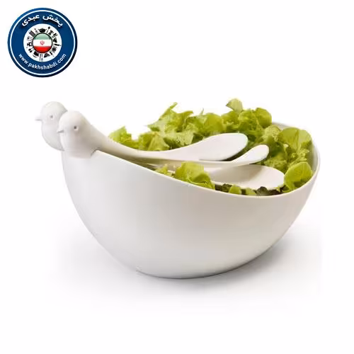 ست سالاد خوری و چنگال طرح پرنده