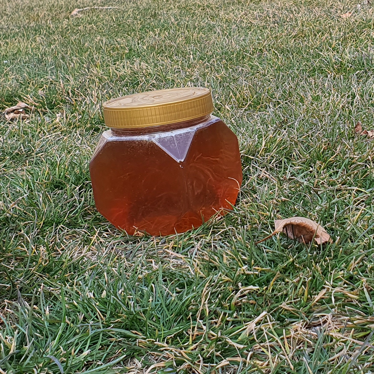 عسل خوب (یک کیلویی )