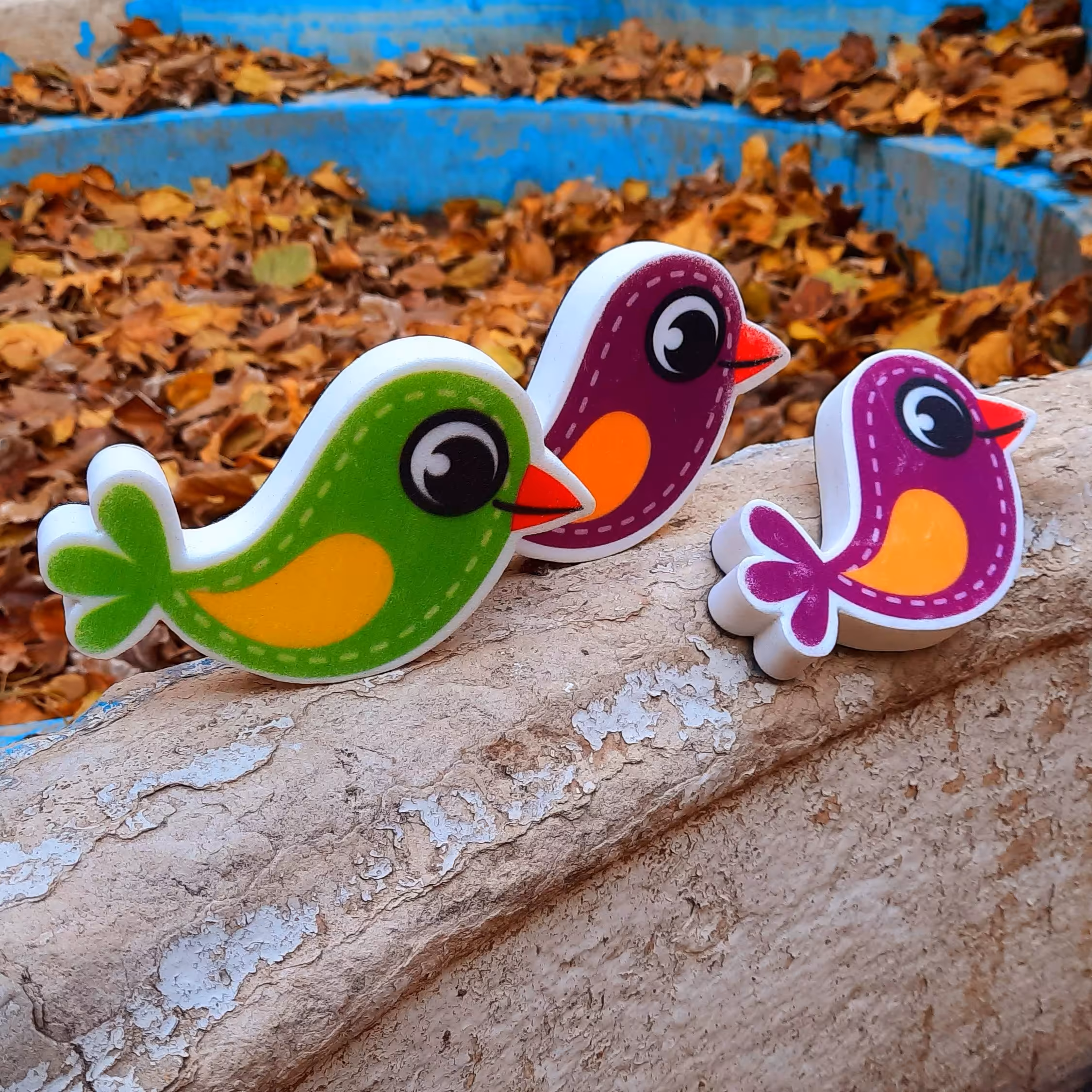 تخته پاکن مغناطیس وایت برد جنس اسفنجی ( 2 عدد ) طرح پرنده خوشگل و بامزه 