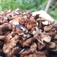 گردوی فسنجونی (خورشتی) خوانسار