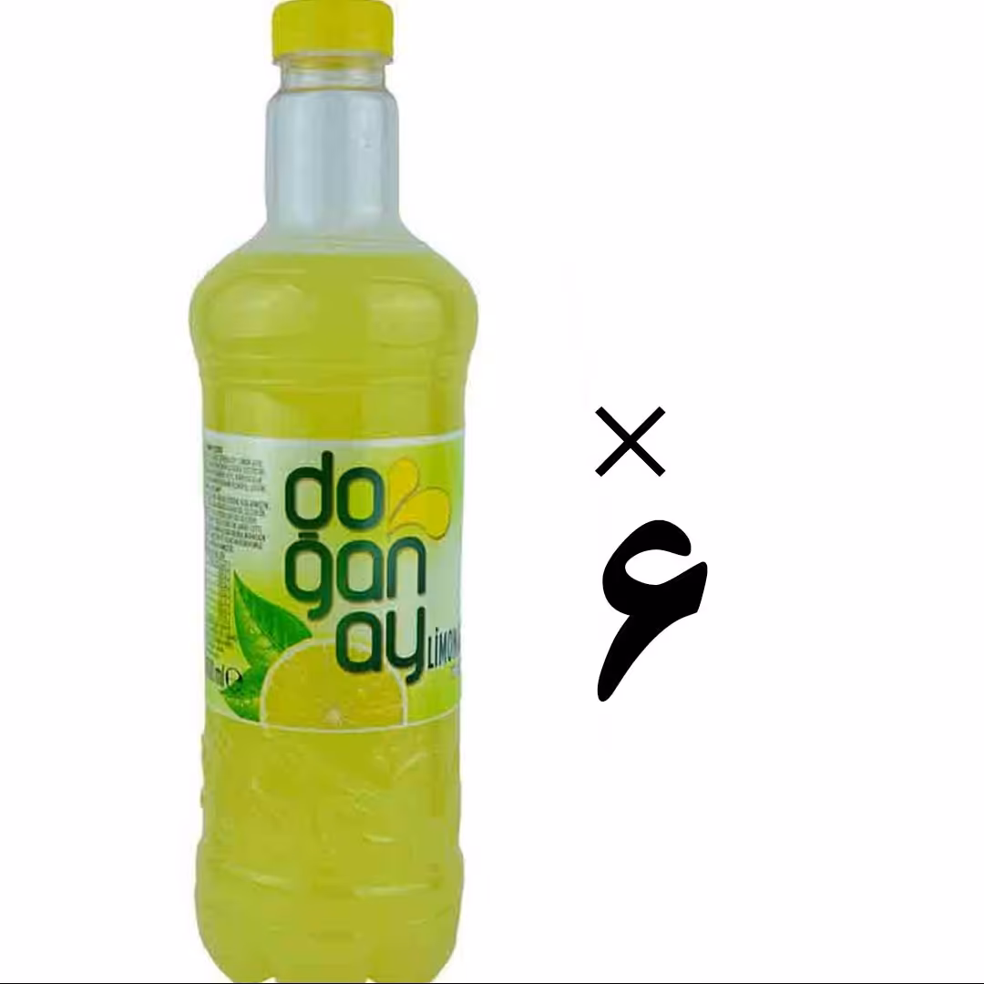 لیموناد ترکیه ای دوغانای 6 عددی Doganay