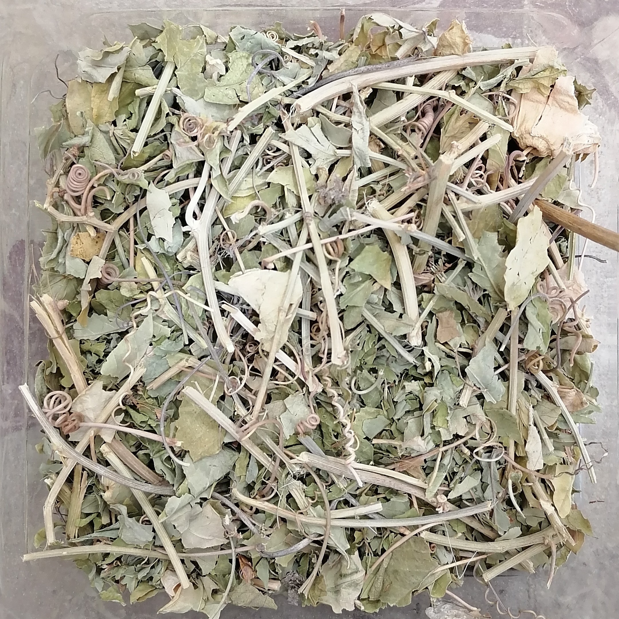 گل ساعتی 100گرمی