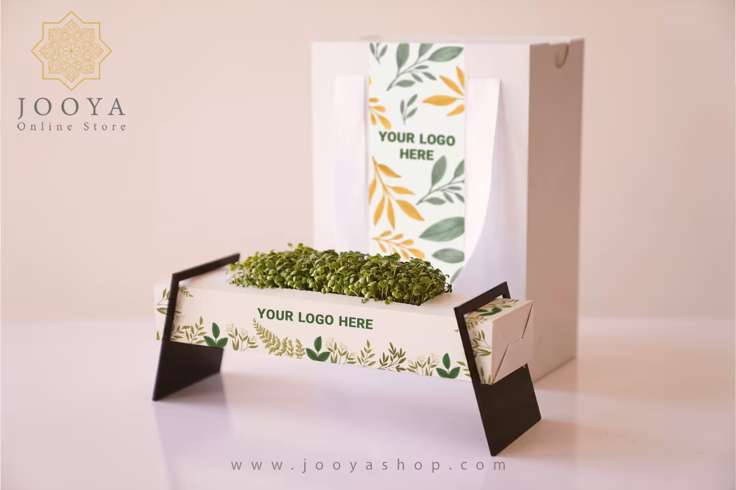 پک هدیه سایتا