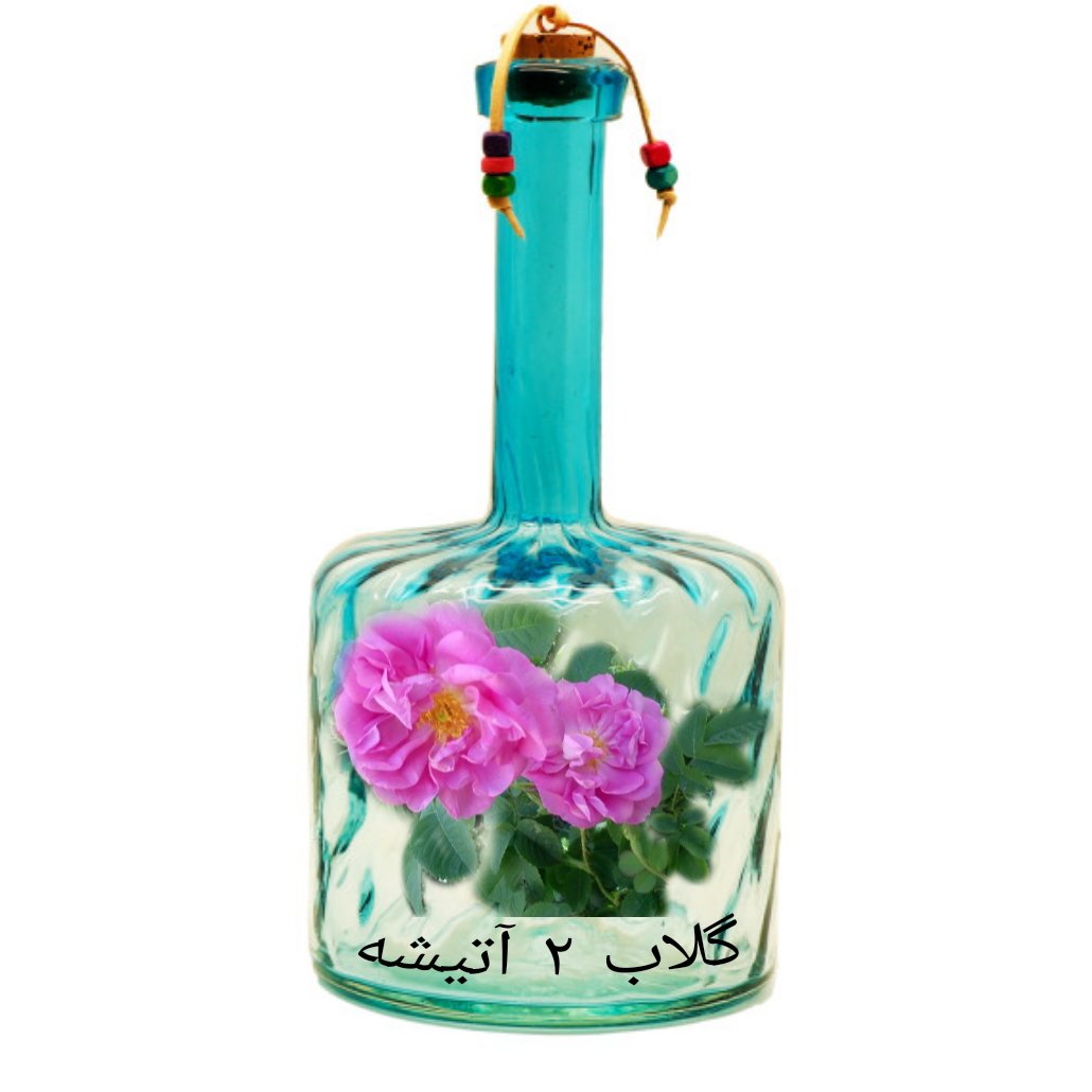 گلاب اعلا سنتی محصول فریدن