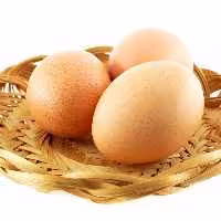 تخم مرغ محلی تازه 12 عددی