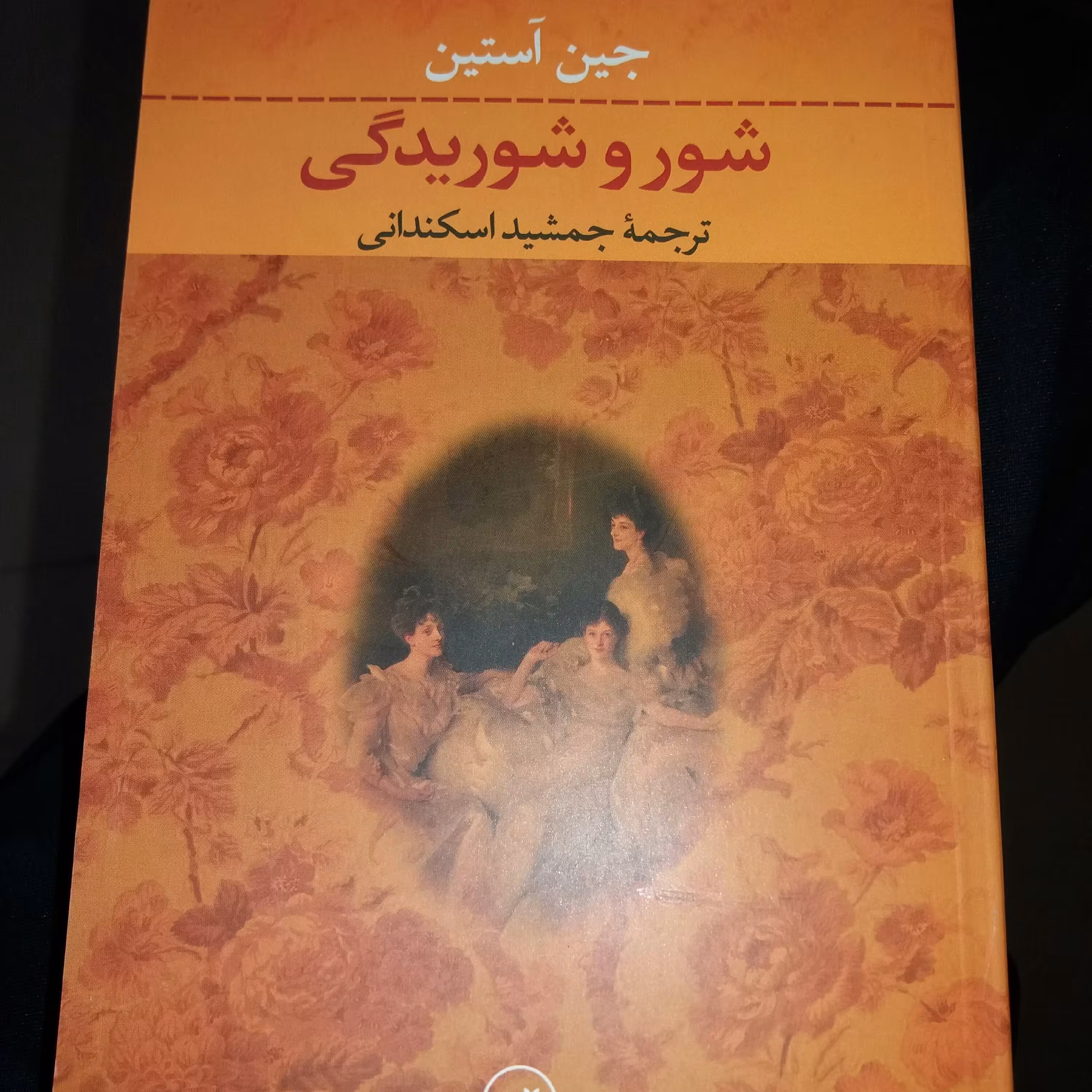 کتاب شور و شوریدگی جین آستین