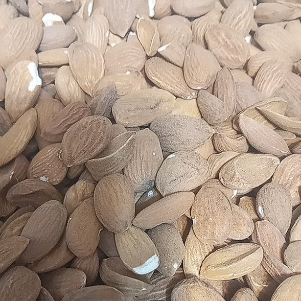 مغز بادام ایرانی