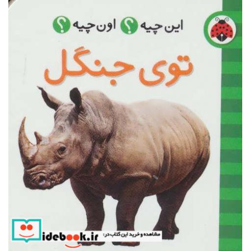 کتاب توی جنگل از این چیه اون چیه