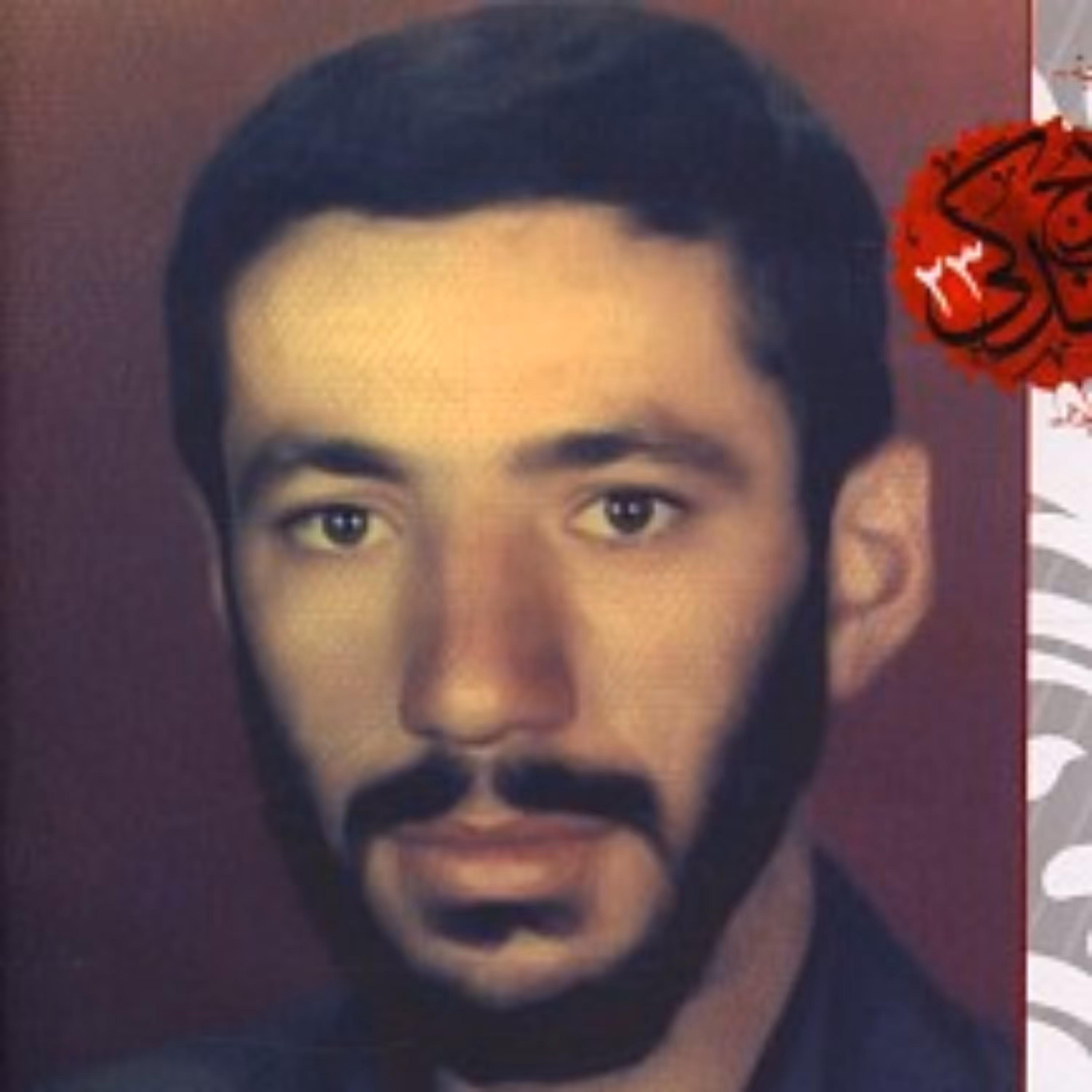 کتاب جنگ در مرخصی