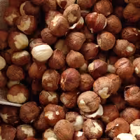 مغز فندق خام ایرانی (1 کیلوگرم) مستقیم از کشاورز