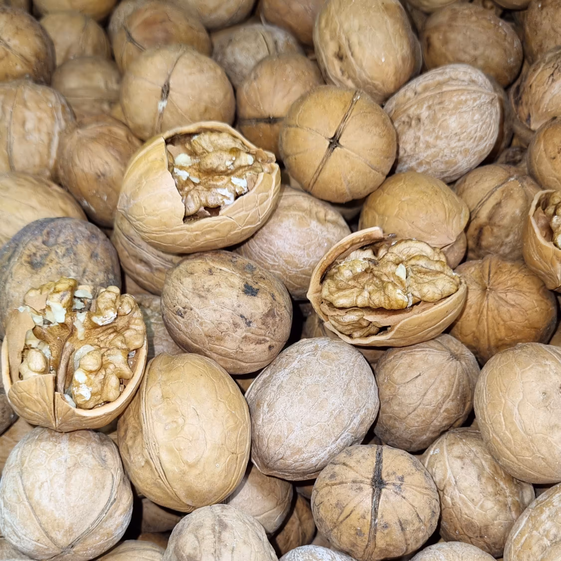 گردو کاغذی 500گرمی فروشگاه گیتی 