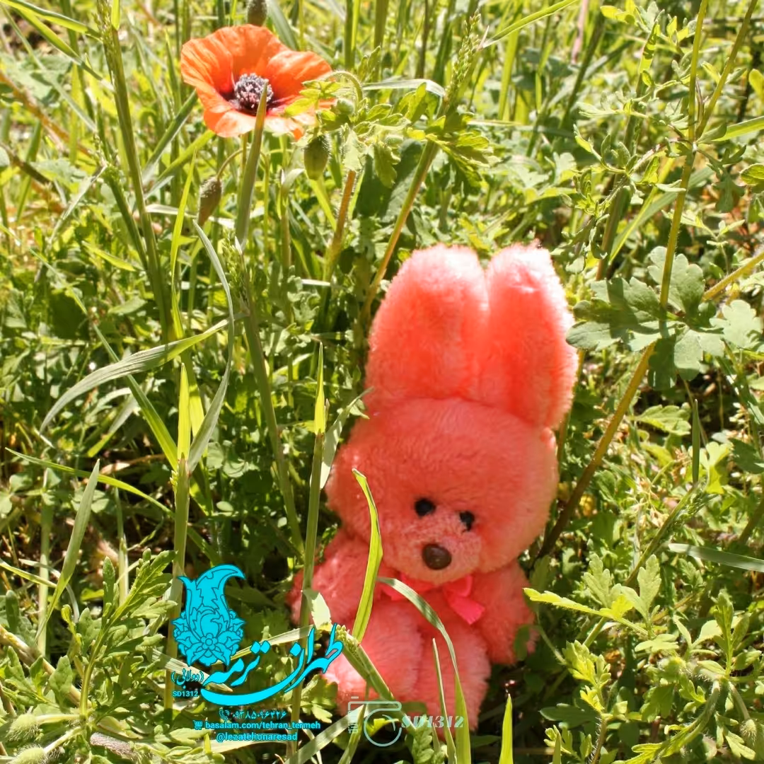 جا کلیدی خرگوشی  رنگ صورتی
با پارچه پولیش نرم و لطیف و خوش دست