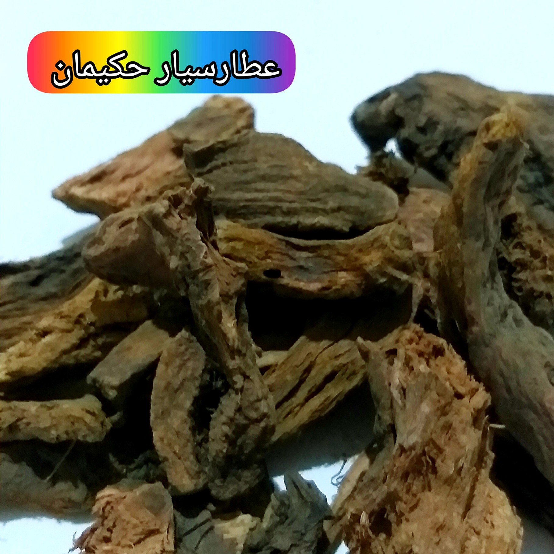 گیاه خولنجان (500 گرمی ) گالنگال یا خسرو دار
