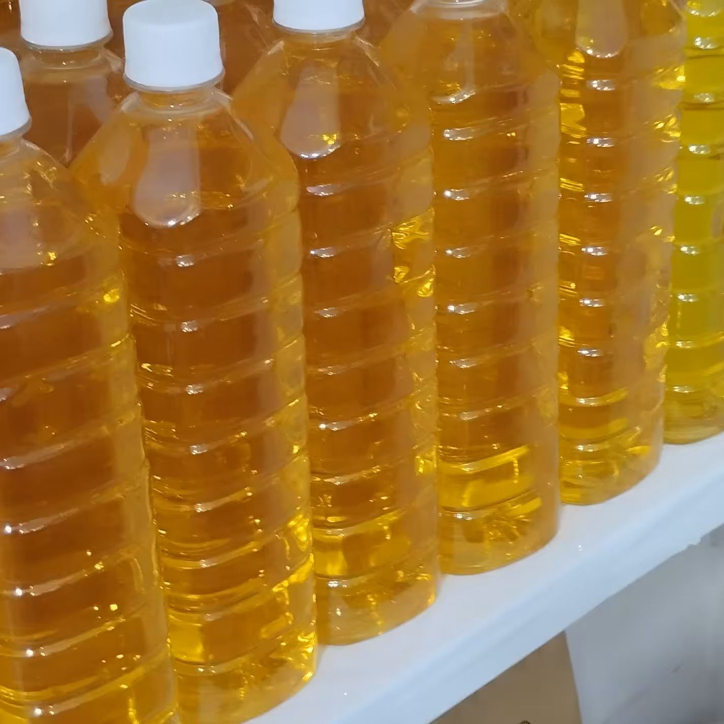 روغن آفتاب گردان