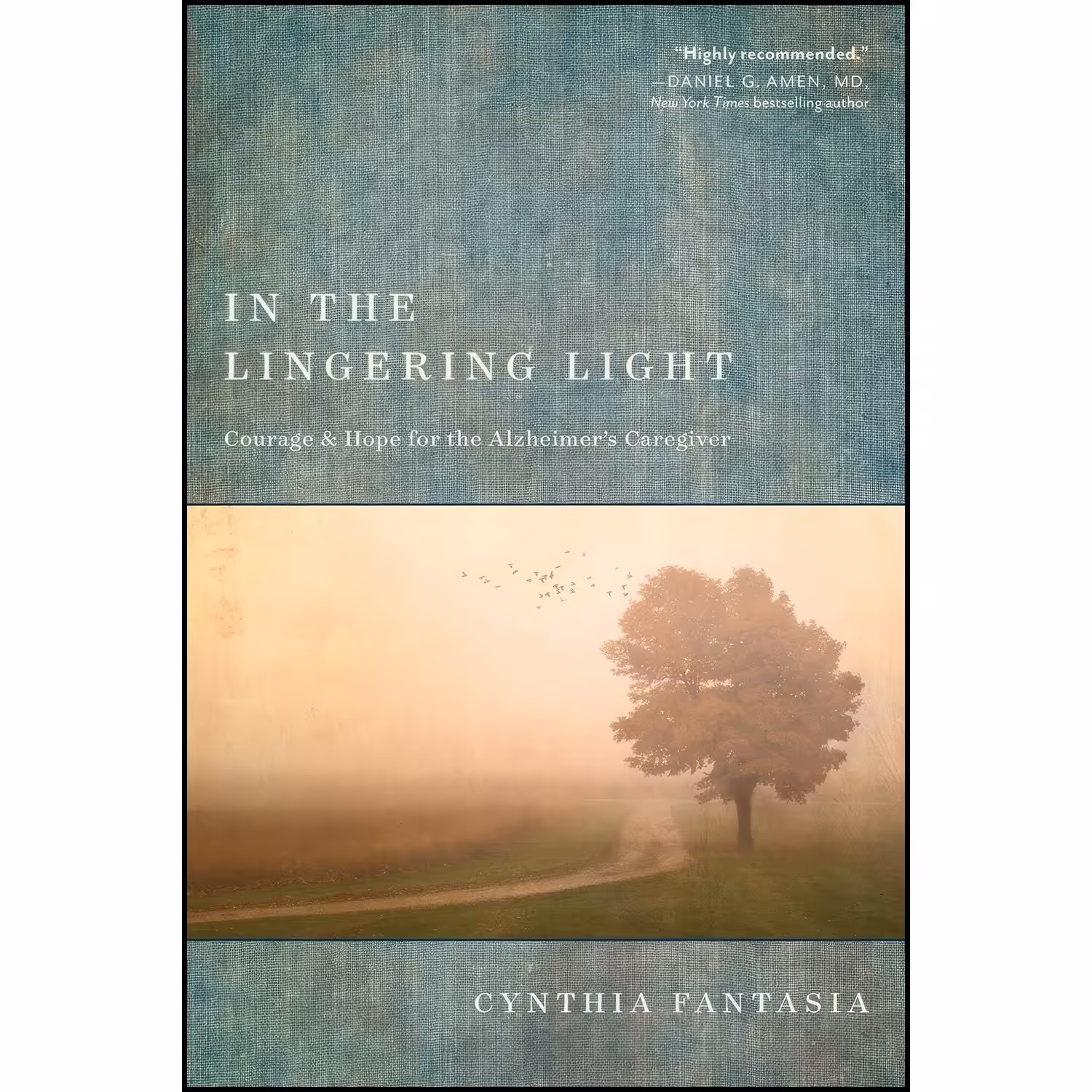 کتاب زبان اصلی In the Lingering Light اثر Cynthia Fantasia
