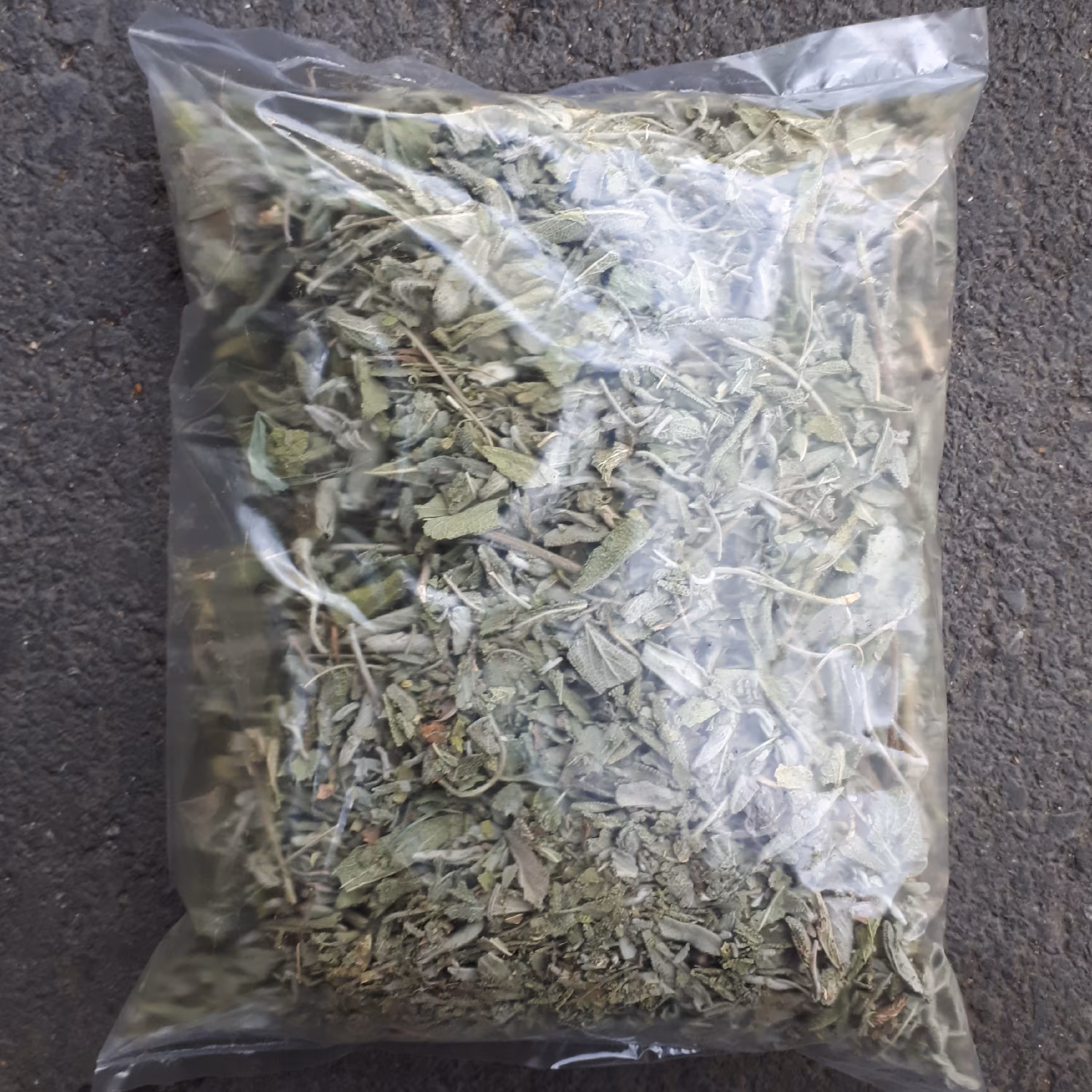 مریم گلی یا گیاه سالویا  100گرمی تمیز  بدون خاک 