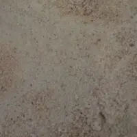 پودر. پیاز 