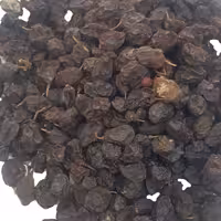 مویز سرخ هسته دار آفتاب خشک ازنا 100 گرمی 