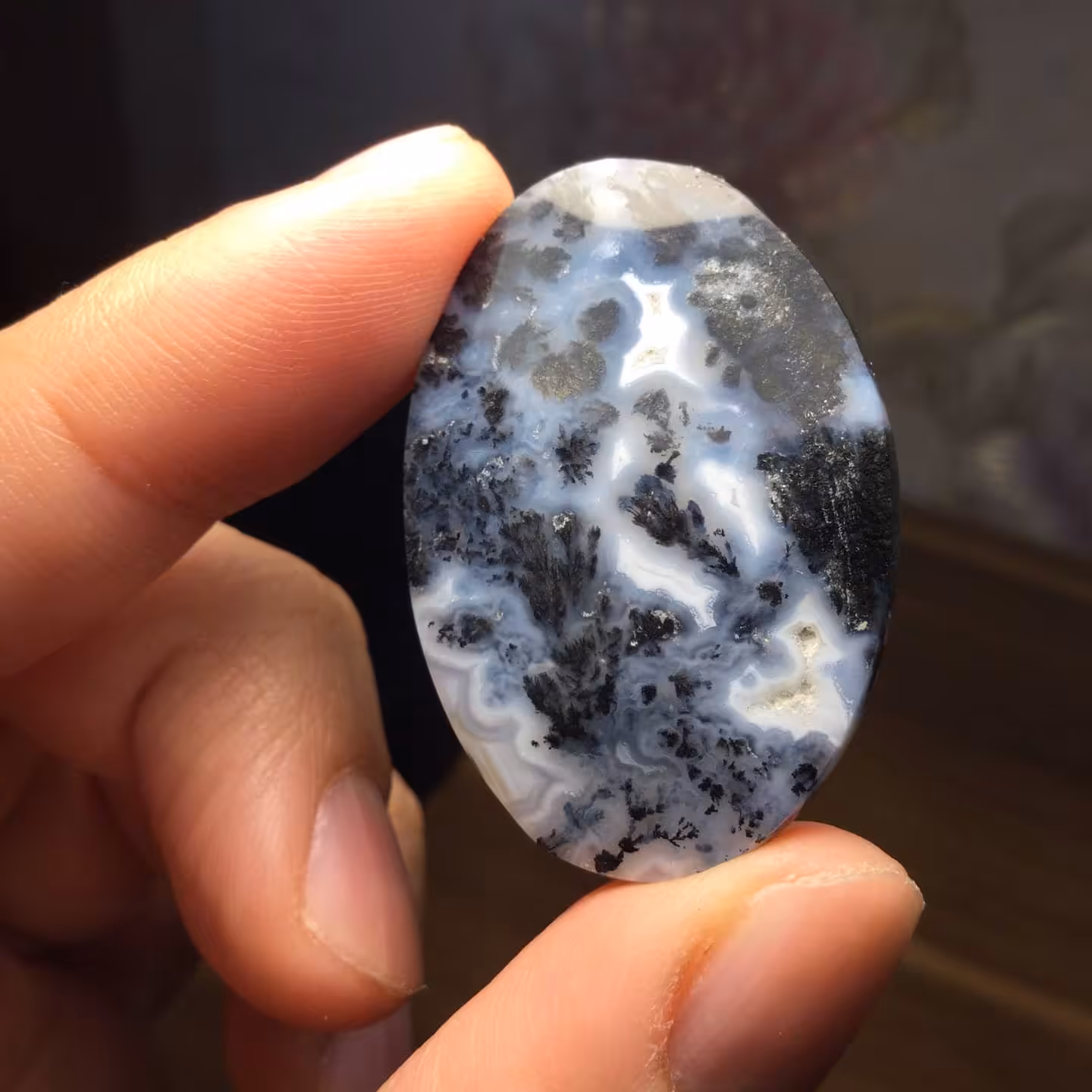 شجر زاغ با زمینه برفی