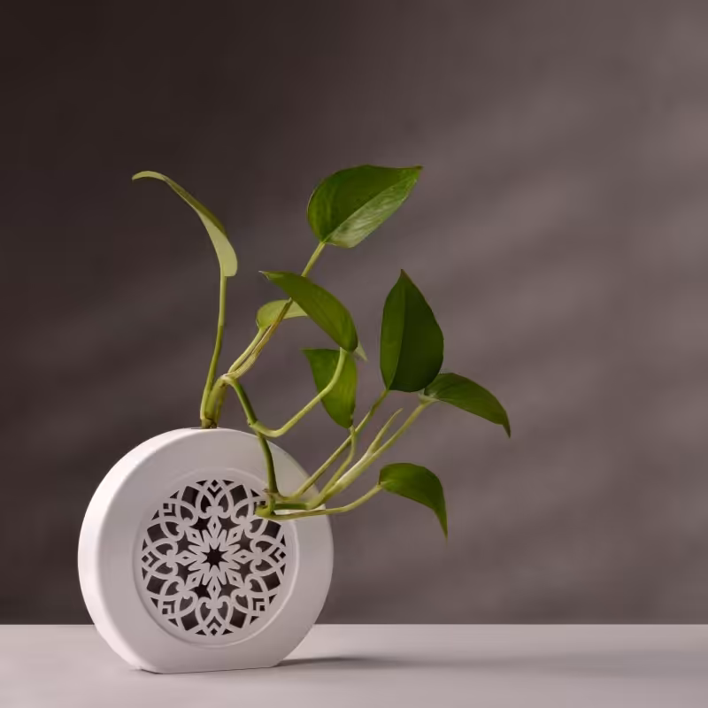 گلدان دکوری کادویی رنگ سفید مدل دایره هدیه گل طبیعی با شیشه آب رنگبندی