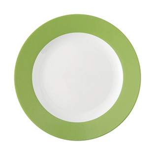 بشقاب تخت 28 سانتیمتری غذاخوری پسته