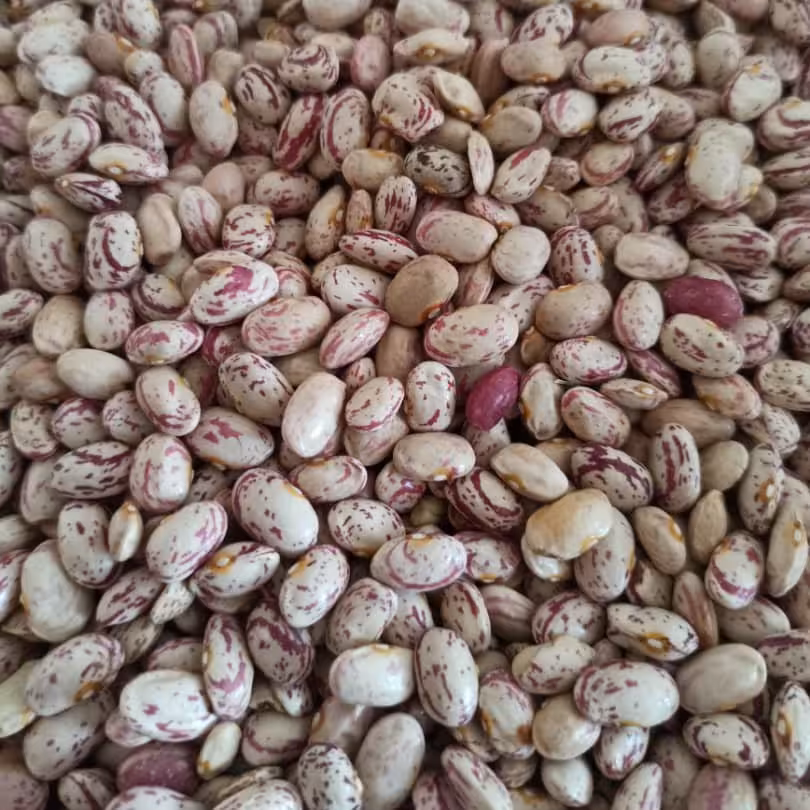 لوبیا چیتی (1000)