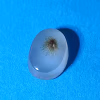 سنگ شجر  کد(40) نگین شجر سنگ متولدین تیر ماه  شجر فاخر  حراج شجر  