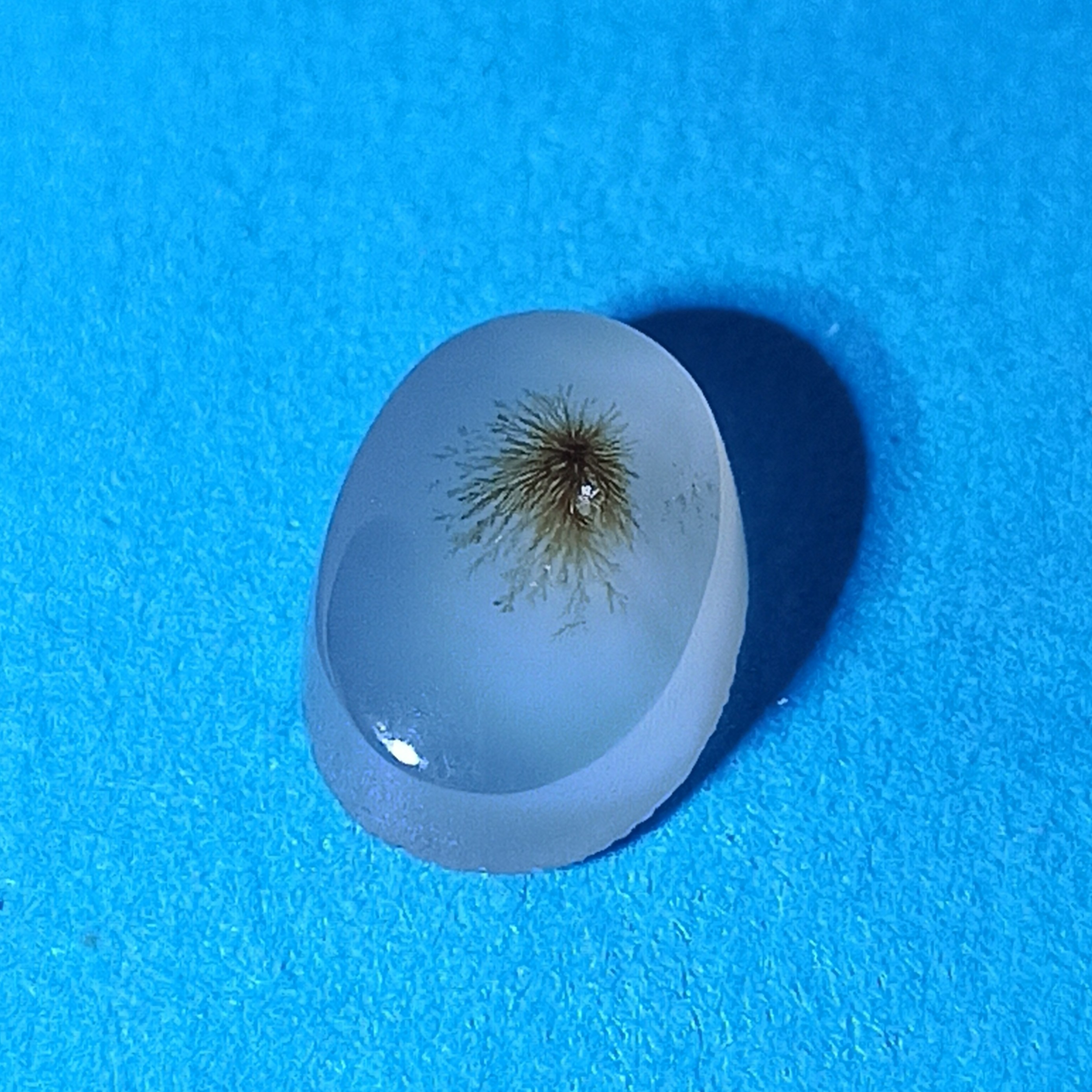 سنگ شجر کد(40) نگین شجر سنگ متولدین تیر ماه شجر فاخر حراج شجر