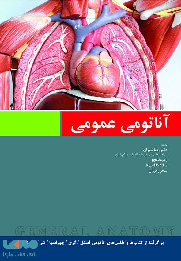 آناتومی عمومی اندیشه رفیع