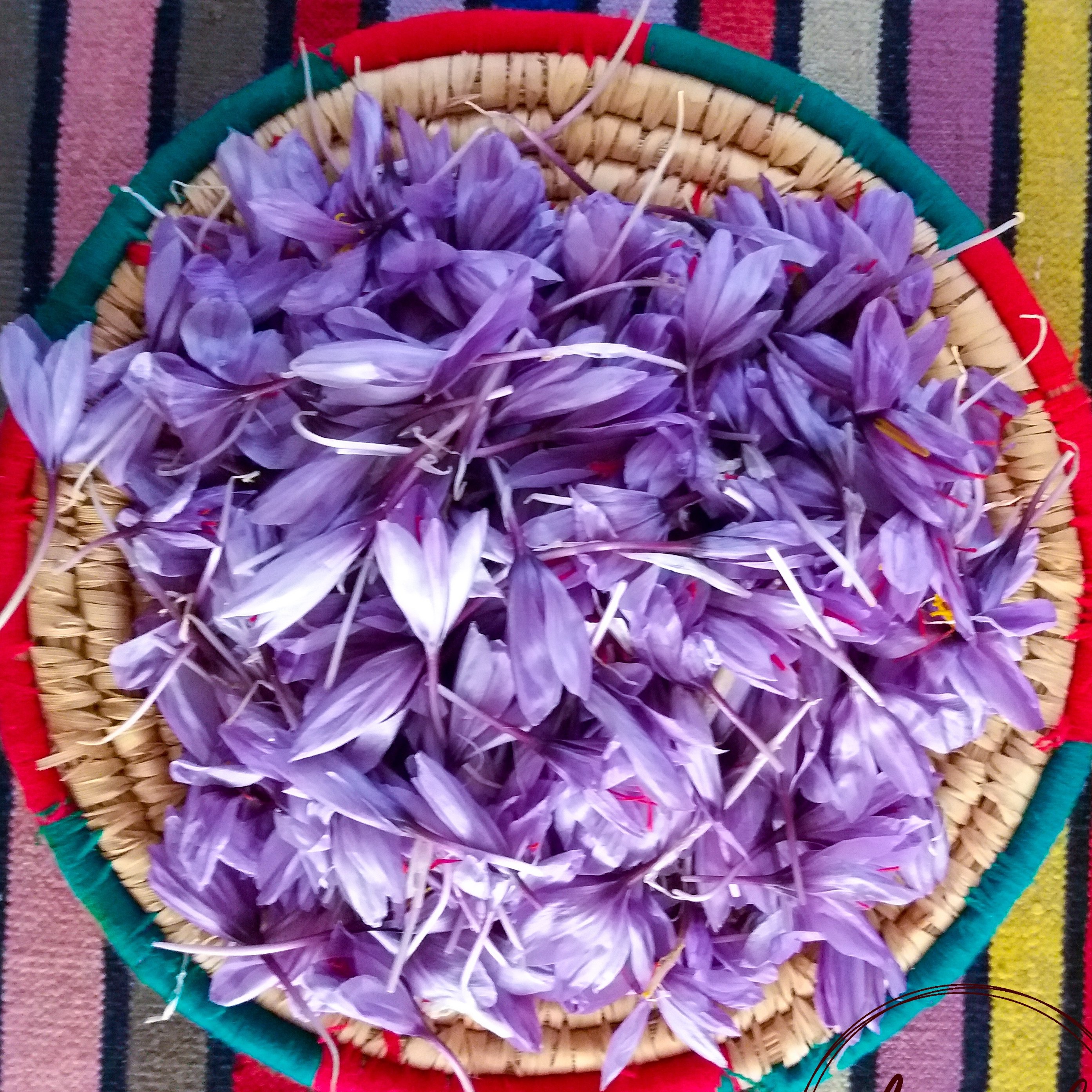 زعفران نگین اعلا درجه یک