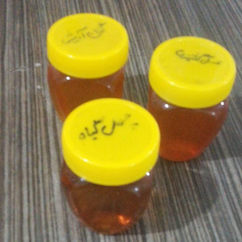 عسل گون آویشن(نیم کیلو)